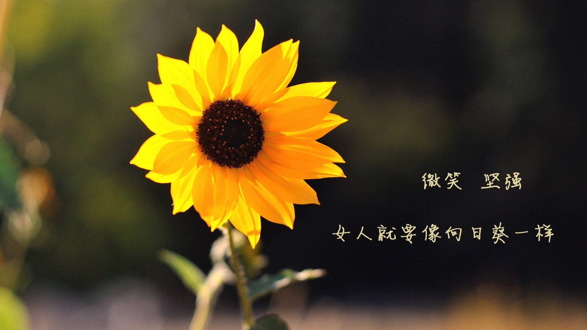 逆境成长：伤病困扰中的复苏奇迹，逆境成长有什么好处