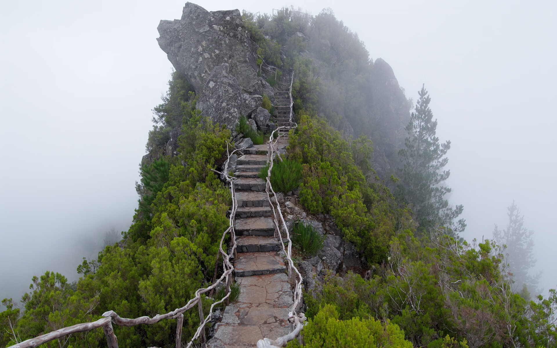 高质量青训基地在全国布局，青少年成长路径逐步清晰，青训 高质量的训练 什么意思