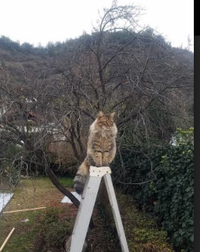 《勇士替补席贡献有限，球队深度成疑》，勇士的替补