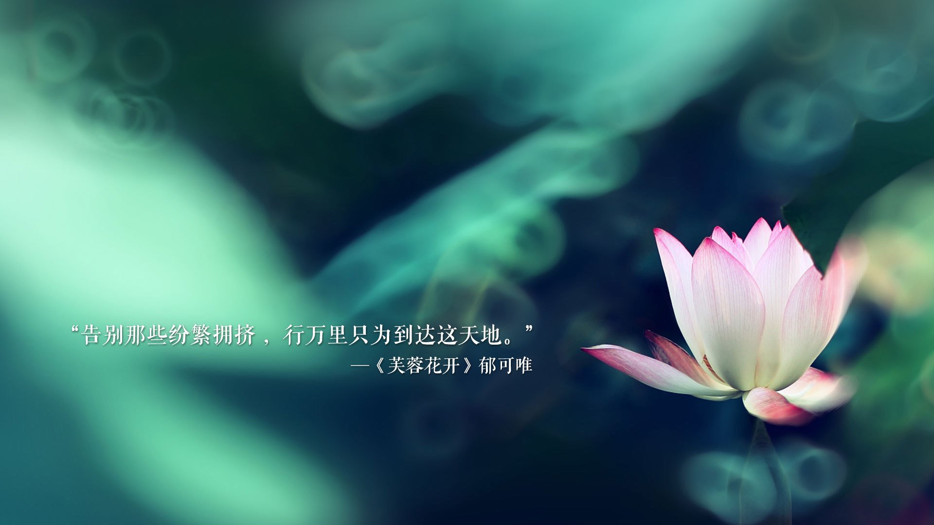 AYX体育官网-墨西哥队争夺中北美区出线席位激烈，墨西哥联赛强队