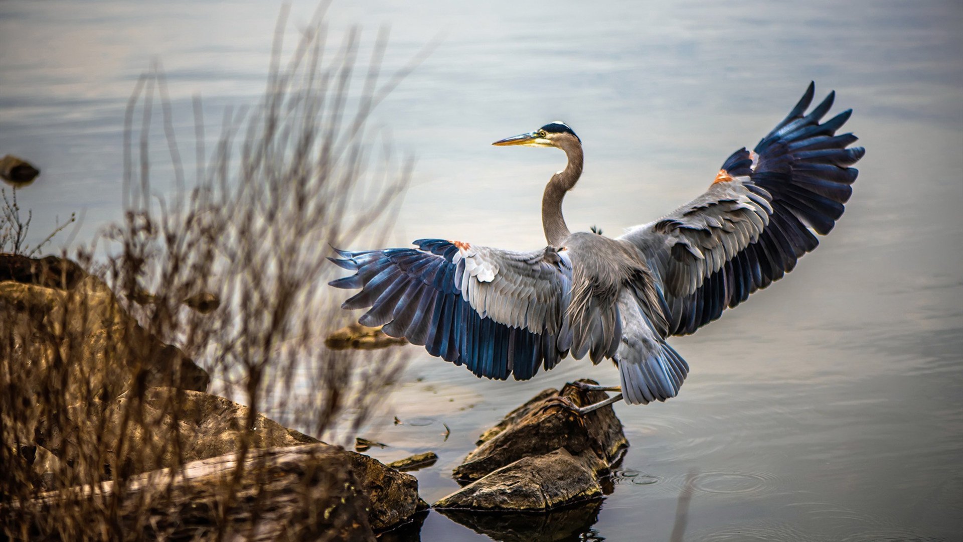 CBA球队强化教练团队配备,cba教练兼球员
