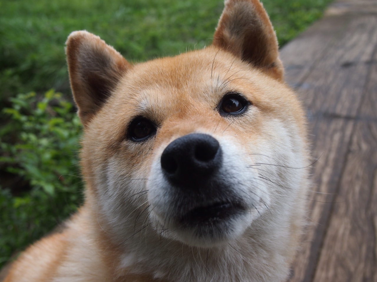 CBA赛季精彩对决不断,cba总决赛精彩瞬间