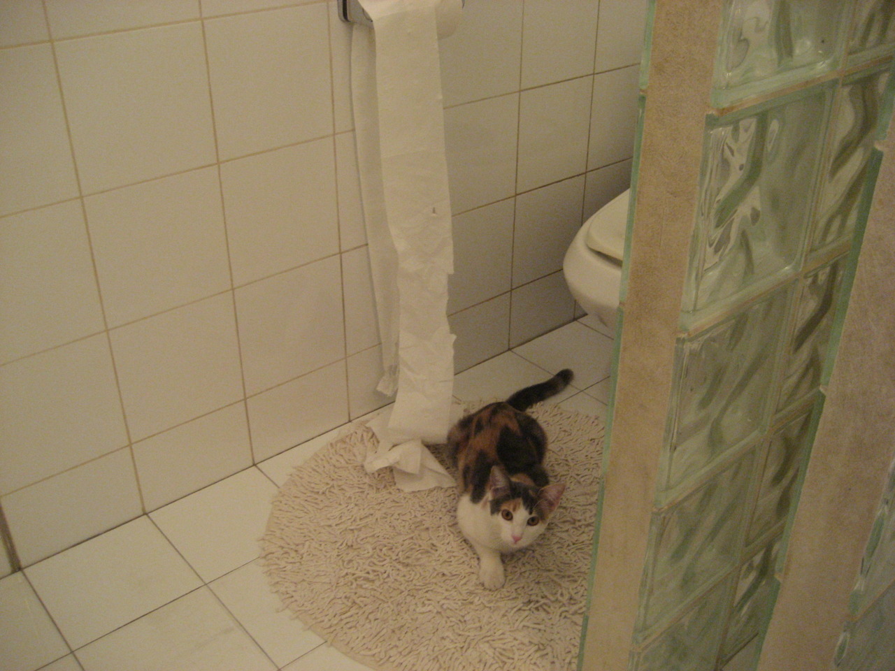 AYX SPORTS-西班牙经验压巴西激情？胜负难料，巴西西班牙视频