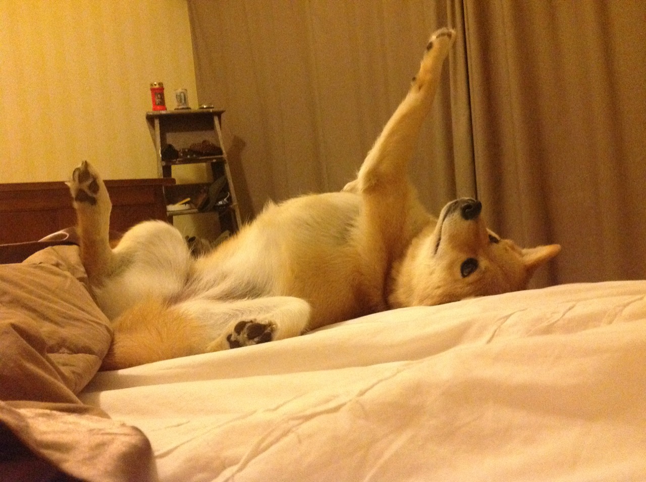 女子国家队发布训练特辑展示幕后备战细节，女子国家队排名